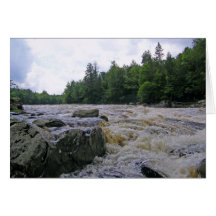 River Flow Card