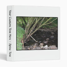 River flowing through woodland. 3 ring binders