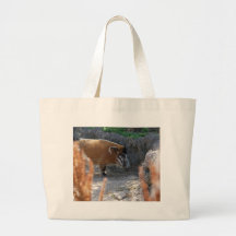 River Hog Canvas Bag