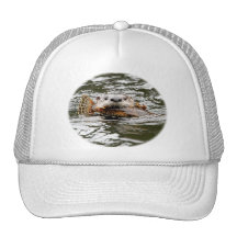 River Otter and Fish Hats