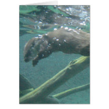 River Otter  Greeting Card