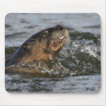 river otter mouse pads