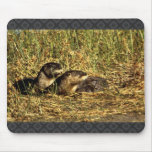 River Otters Mouse Pad