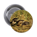 River Otters Pin