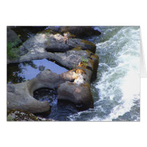 River Pools Card