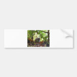 River rat bumper stickers