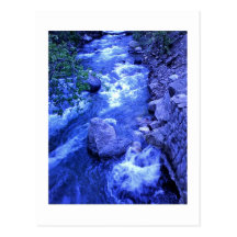 River Runs Wild Post Card