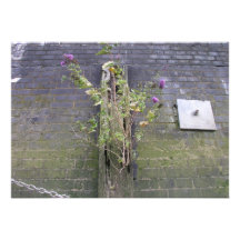 Riverbank wall, River Thames, London Personalized Announcements