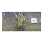 Riverbank wall, River Thames, London Photo Cards