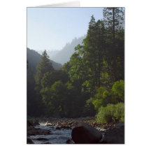 Rivers Valleys Canyons Pinetrees Greeting Cards