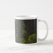 Rivers Valleys Canyons Pinetrees Mugs