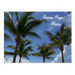 Riviera Maya Cancun Mexico Caribbean Palm Trees Post Cards