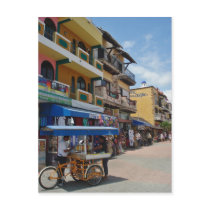 Riviera Maya (Playa del Carmen) Postcards