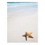 Riviera Maya Post Card