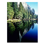 Rivière de Merced - parc national de Yosemite Carte Postale