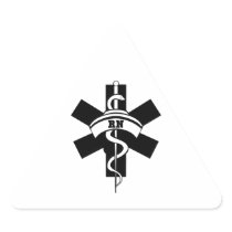 RN Nurses Triangle Stickers