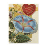 rning Glory VIntage Valentine Postcards