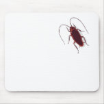 Roach!
