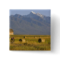 Road bicyclists race down back country road in pinback buttons