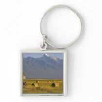 Road bicyclists race down back country road in key chain