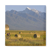 Road bicyclists race down back country road in fridge magnets