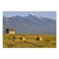 Road bicyclists race down back country road in