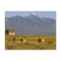 Road bicyclists race down back country road in post cards