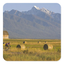 Road bicyclists race down back country road in square sticker