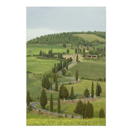 Road from Pienza to Montepulciano, Photo Print
