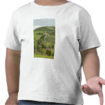 Road from Pienza to Montepulciano, Tee Shirts