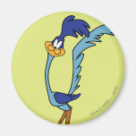 Road Runner Colour Magnets