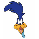 Road Runner Face t-shirts