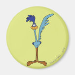 Road Runner in Colour Refrigerator Magnets
