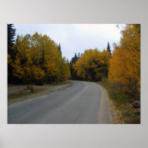 Road Through The Aspens Print