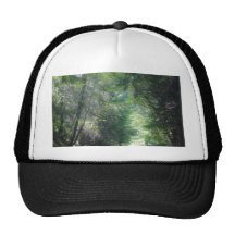 Road To Apple Hill Trucker Hats
