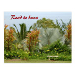Road to hana post cards