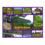 Road to Hana Post Cards