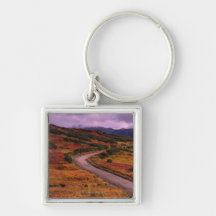 Road Winding Through Hills in Denali National Keychains