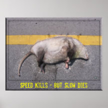 Roadkill Motivational Poster