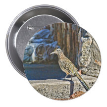 Roadrunner Button