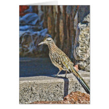 Roadrunner Card