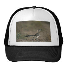 Roadrunner Hat