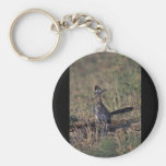 Roadrunner Key Chains