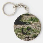 Roadrunner Key Chains