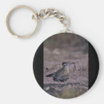 Roadrunner Keychains