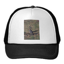 Roadrunner Mesh Hats