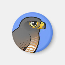 Roadside Hawk Magnets