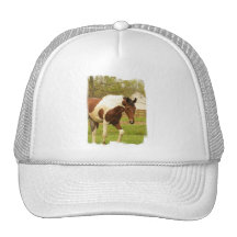 Roaming Paint Horse Baseball Hat