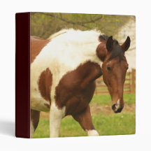 Roaming Paint Horse Binder