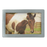 Roaming Paint Horse Buckle Rectangular Belt Buckle